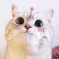 Taufiq Ismail avatar